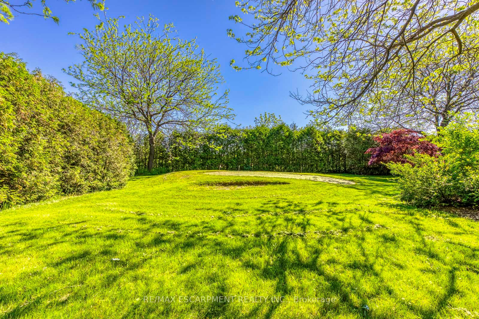 341 Acacia Crt
