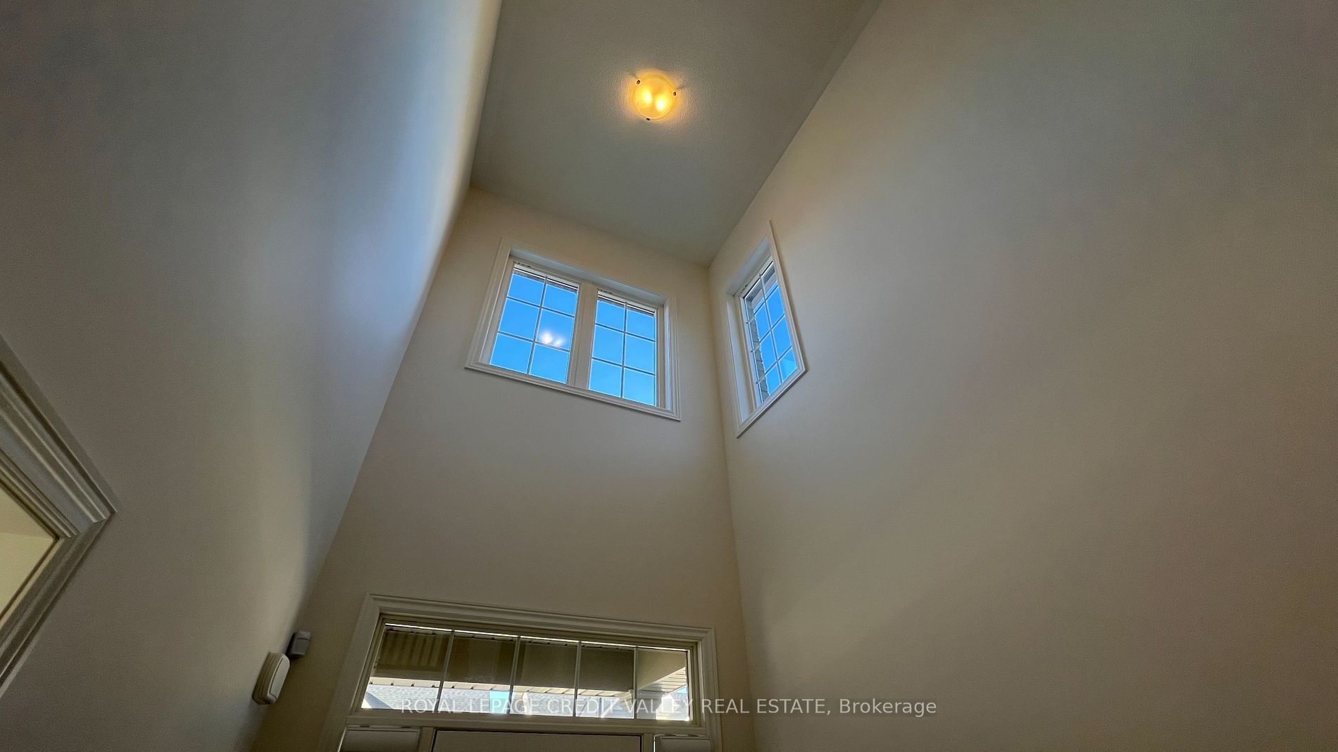 10 Abelia Street, #6