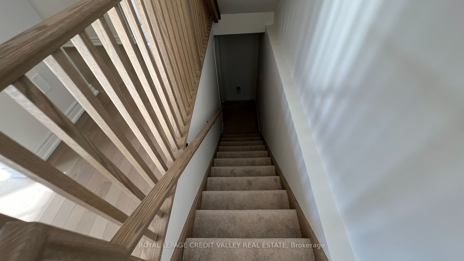 10 Abelia Street, #6