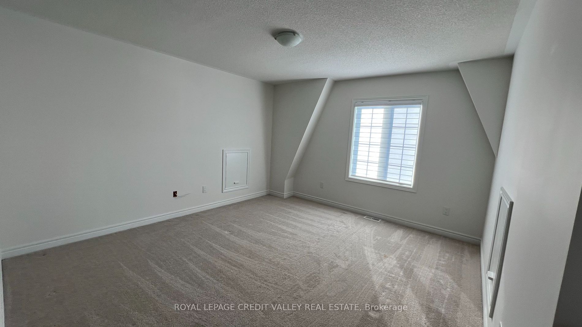 10 Abelia Street, #6