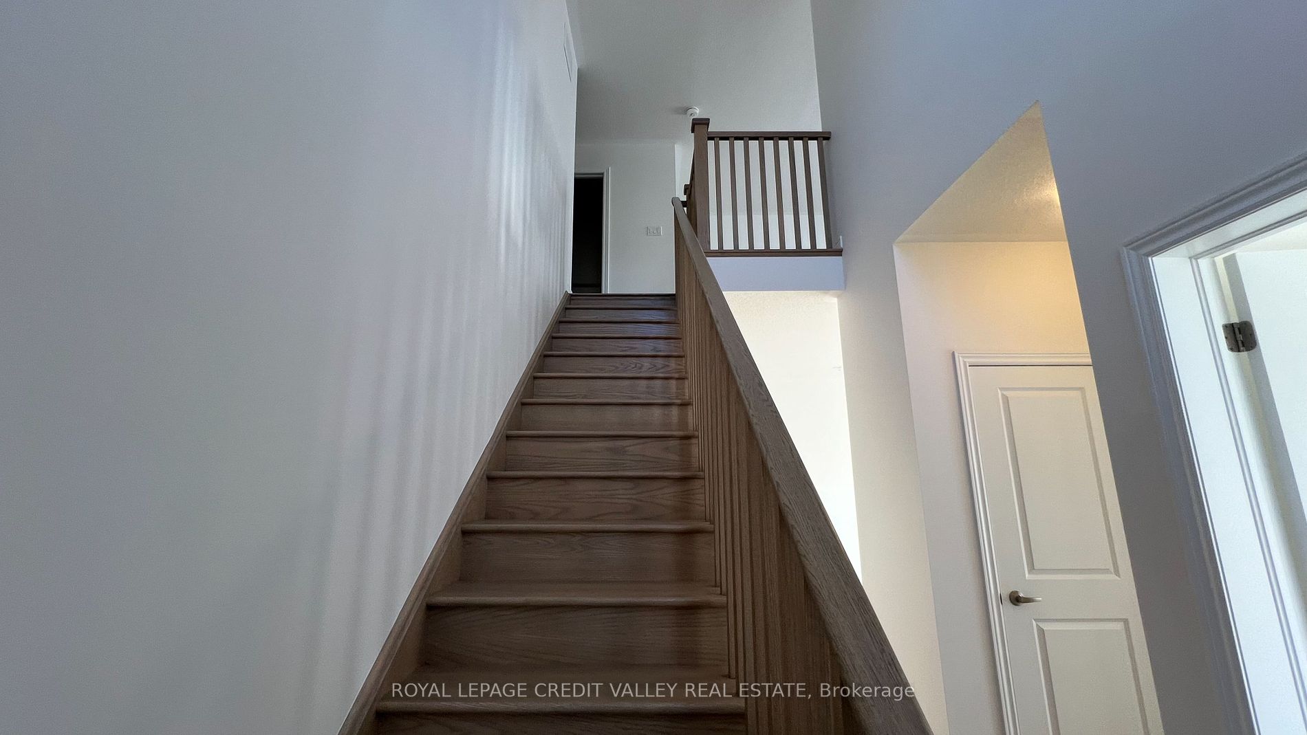 10 Abelia Street, #6