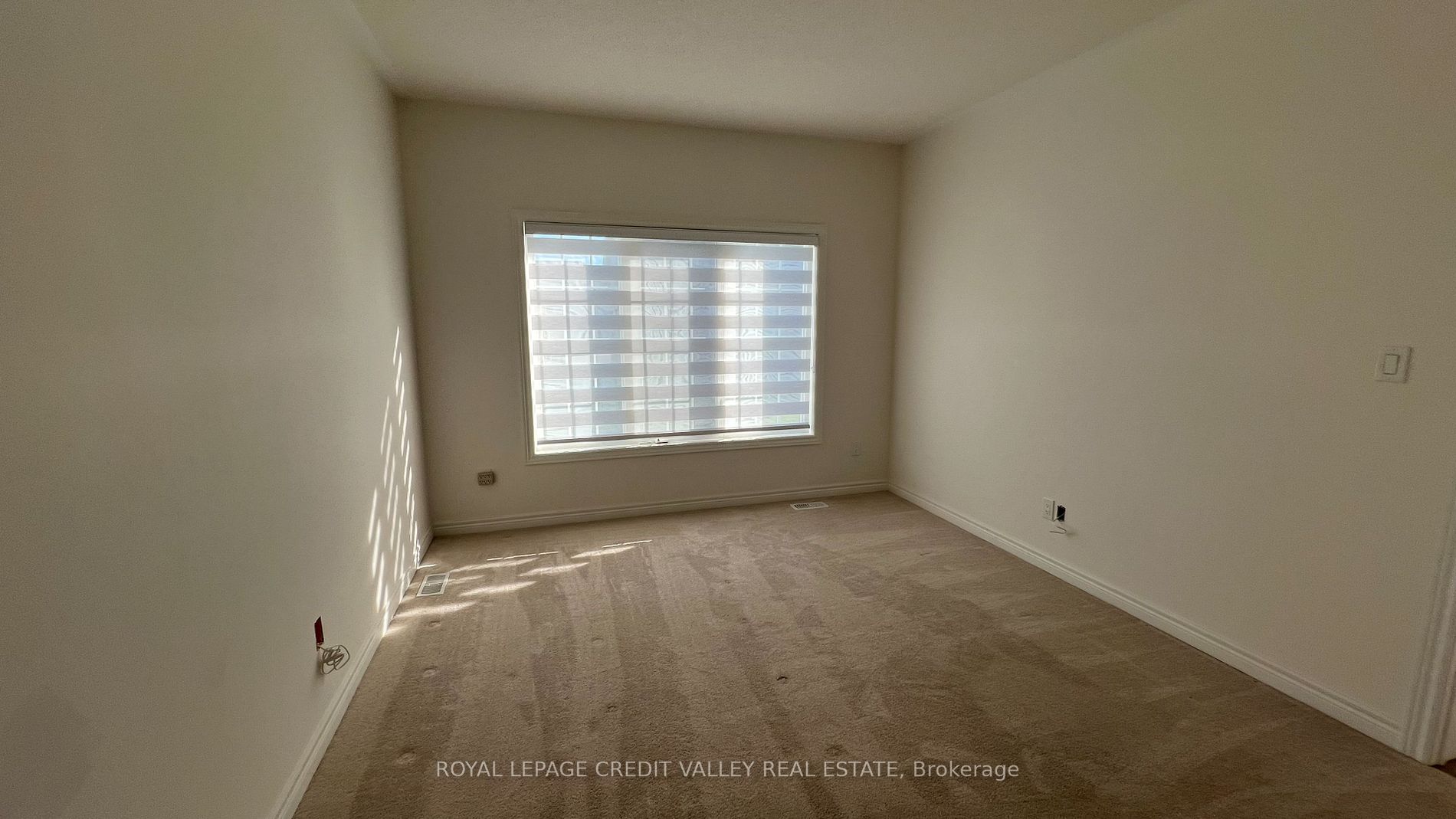 10 Abelia Street, #6