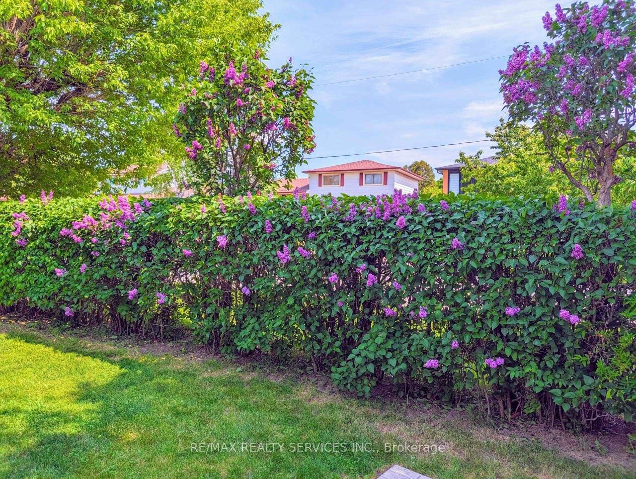 195 Elmwood Road