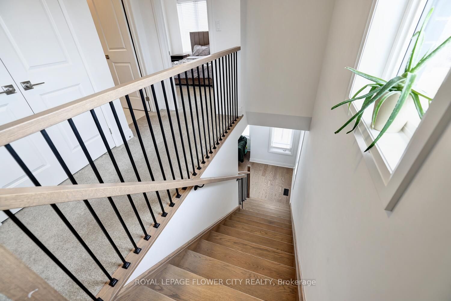 36 Briar Court