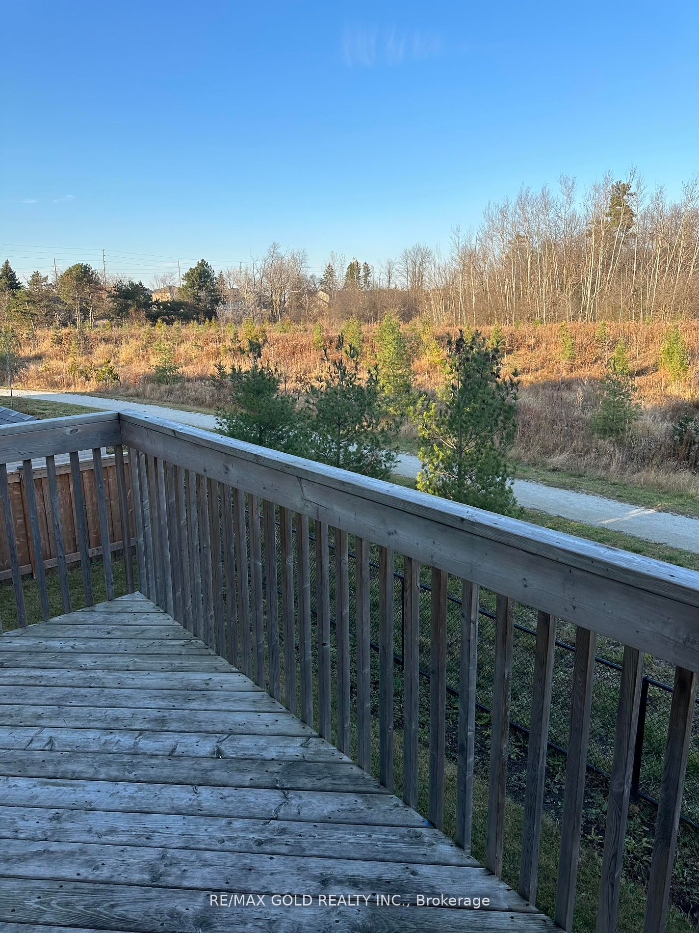 46 Mincing Trail