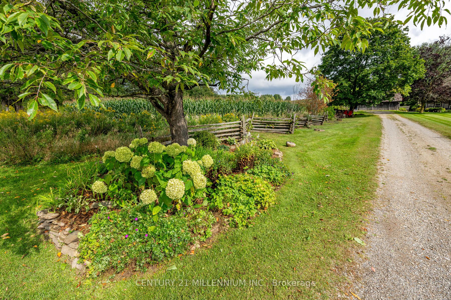 20909 Shaws Creek Road