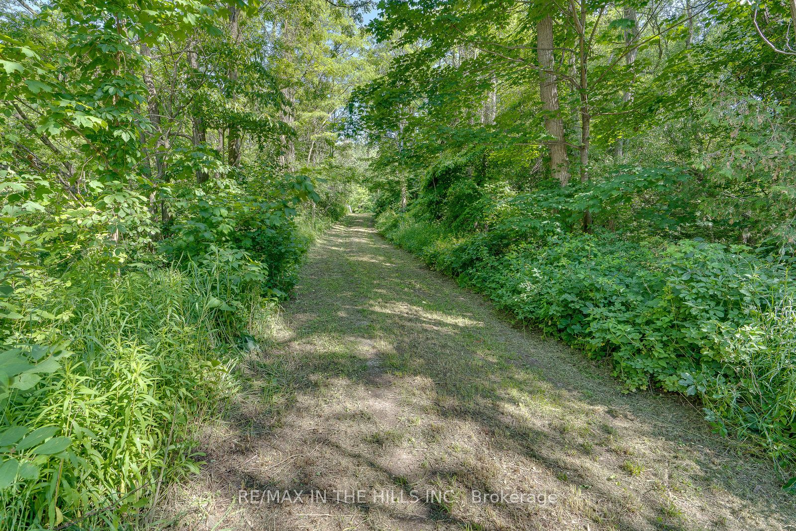 3246 Escarpment Side Road
