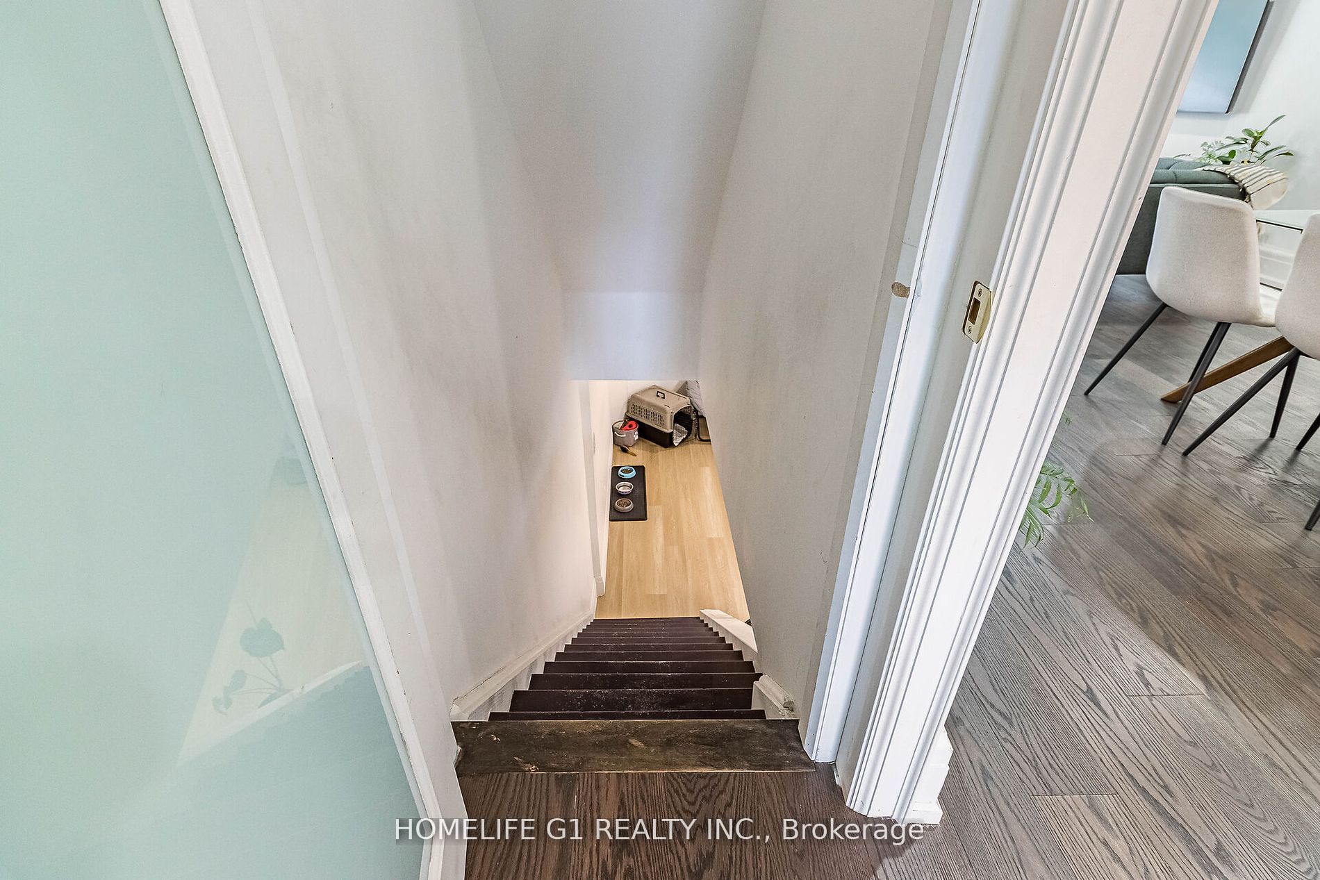 28 Guestville Ave