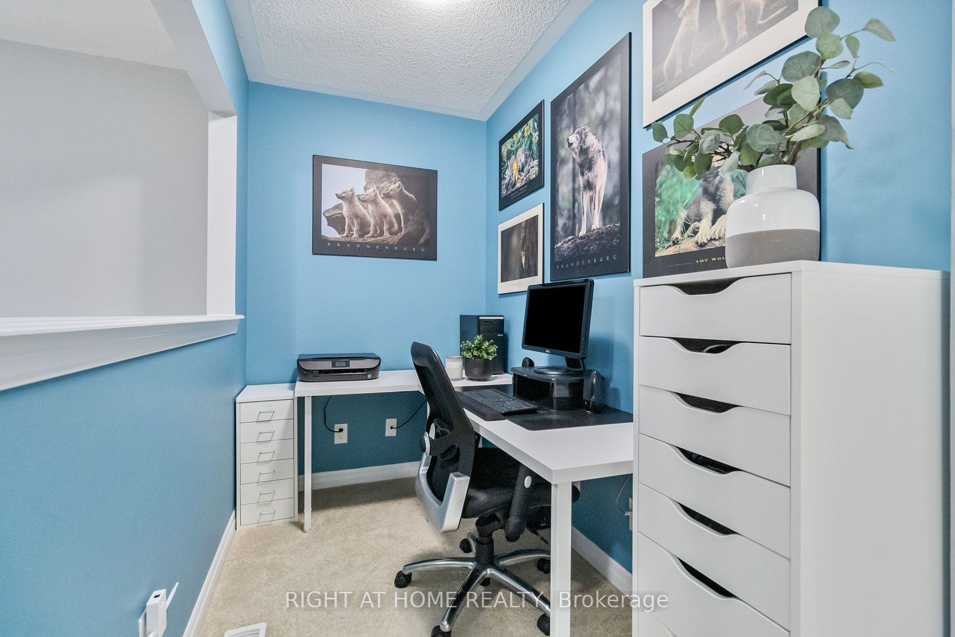 114 Aird Court