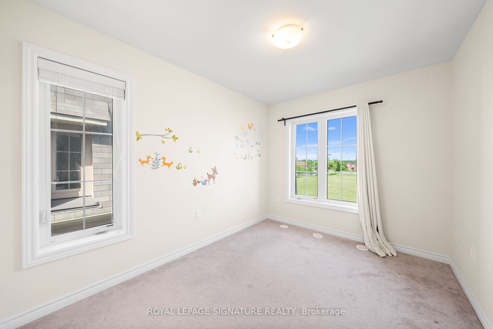 2441 Greenwich Drive #11