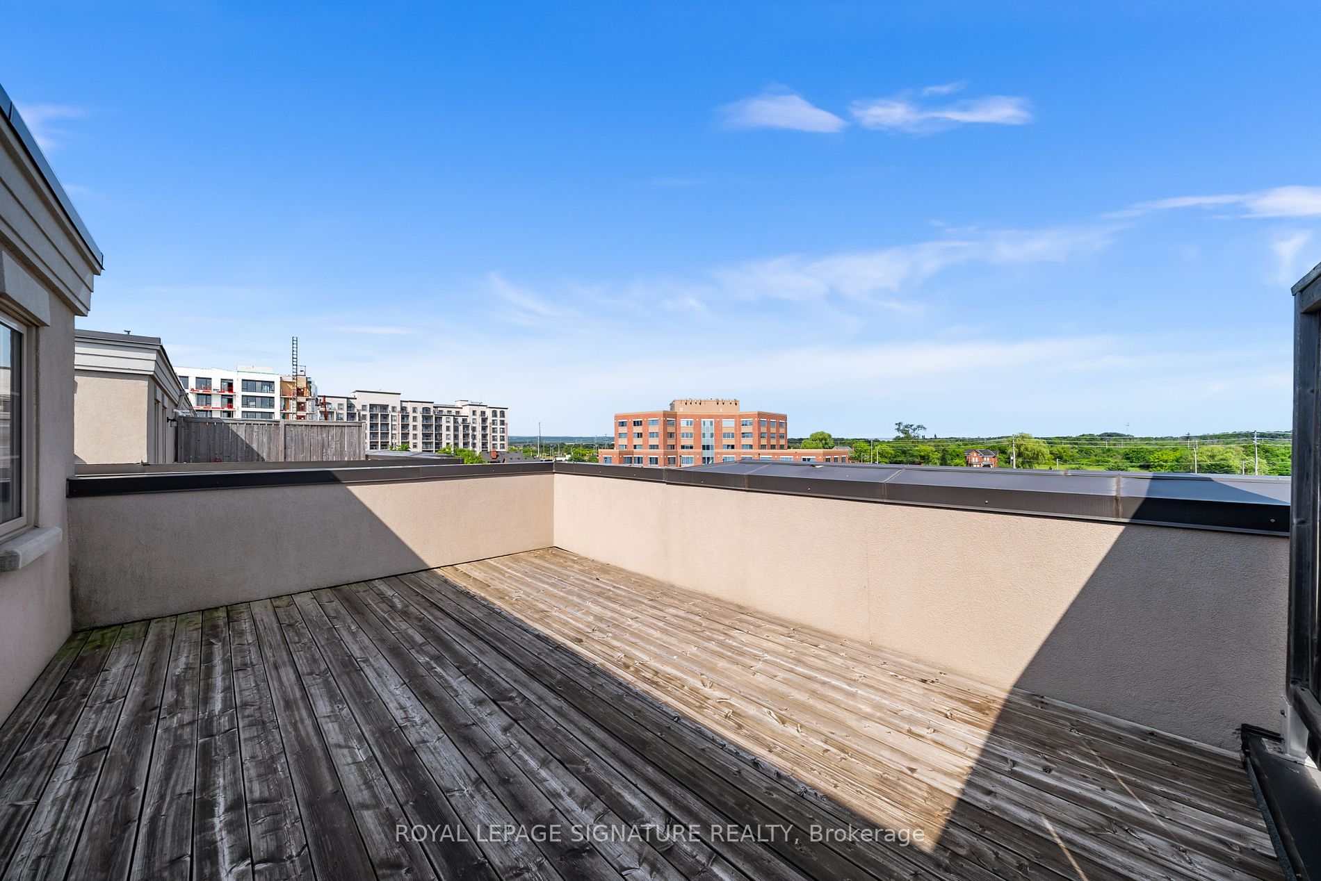 2441 Greenwich Drive #11