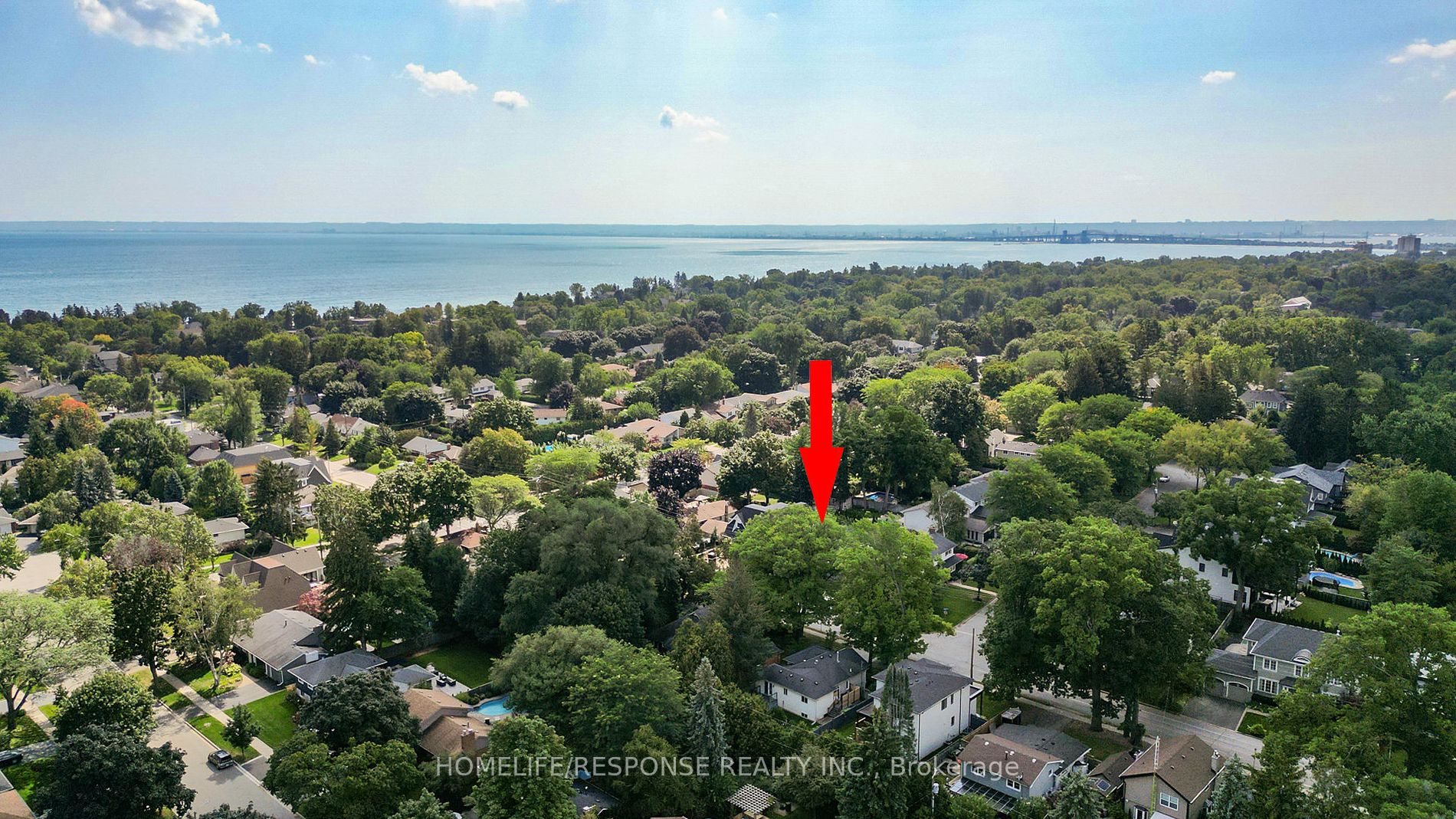 339 PINE COVE Road