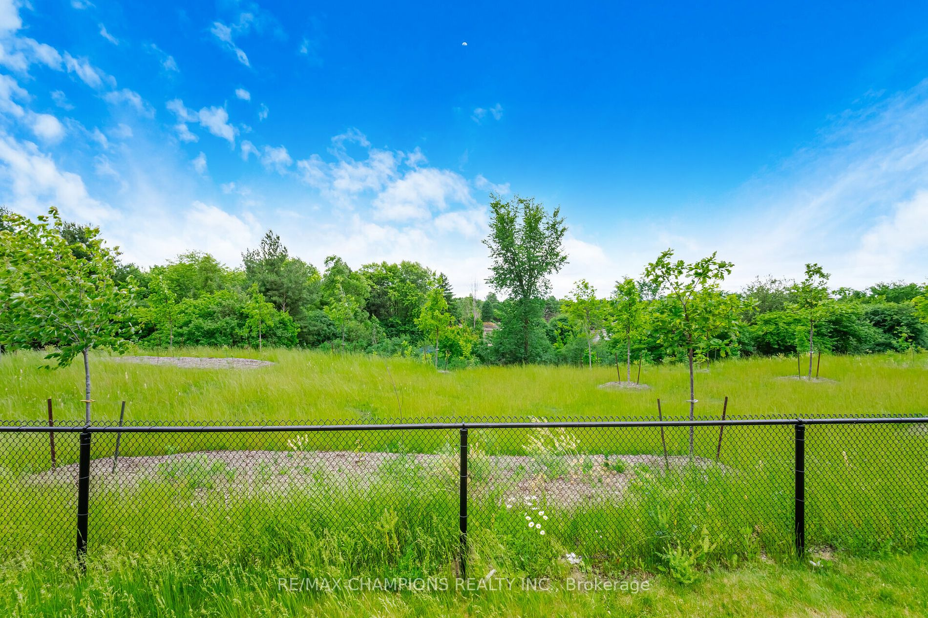 36 Savino Drive