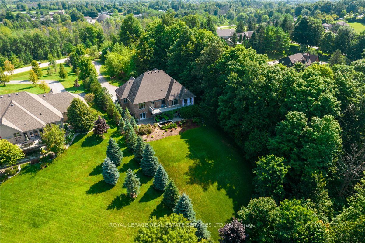 11300 Taylor Crt