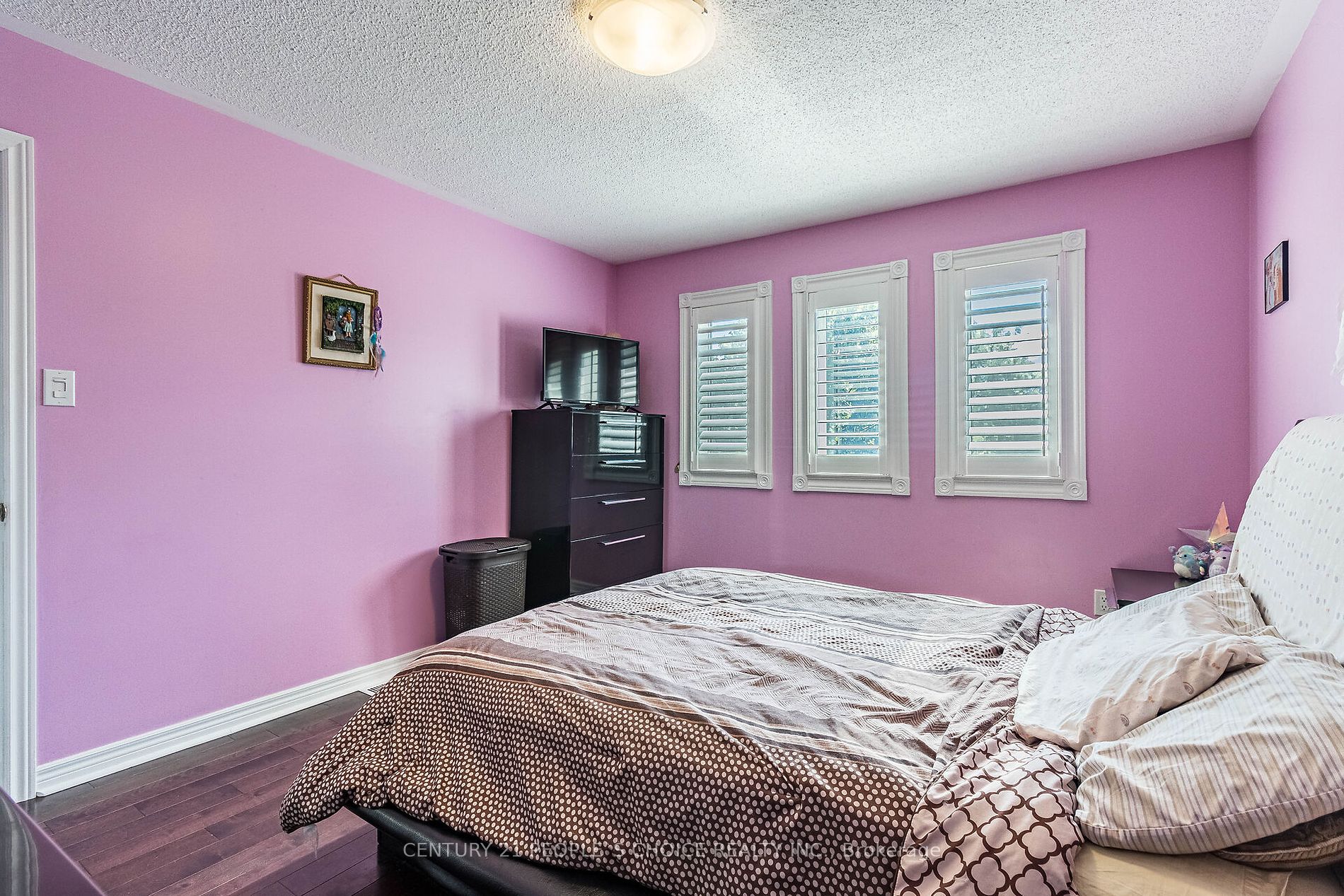 48 Castelli Crt