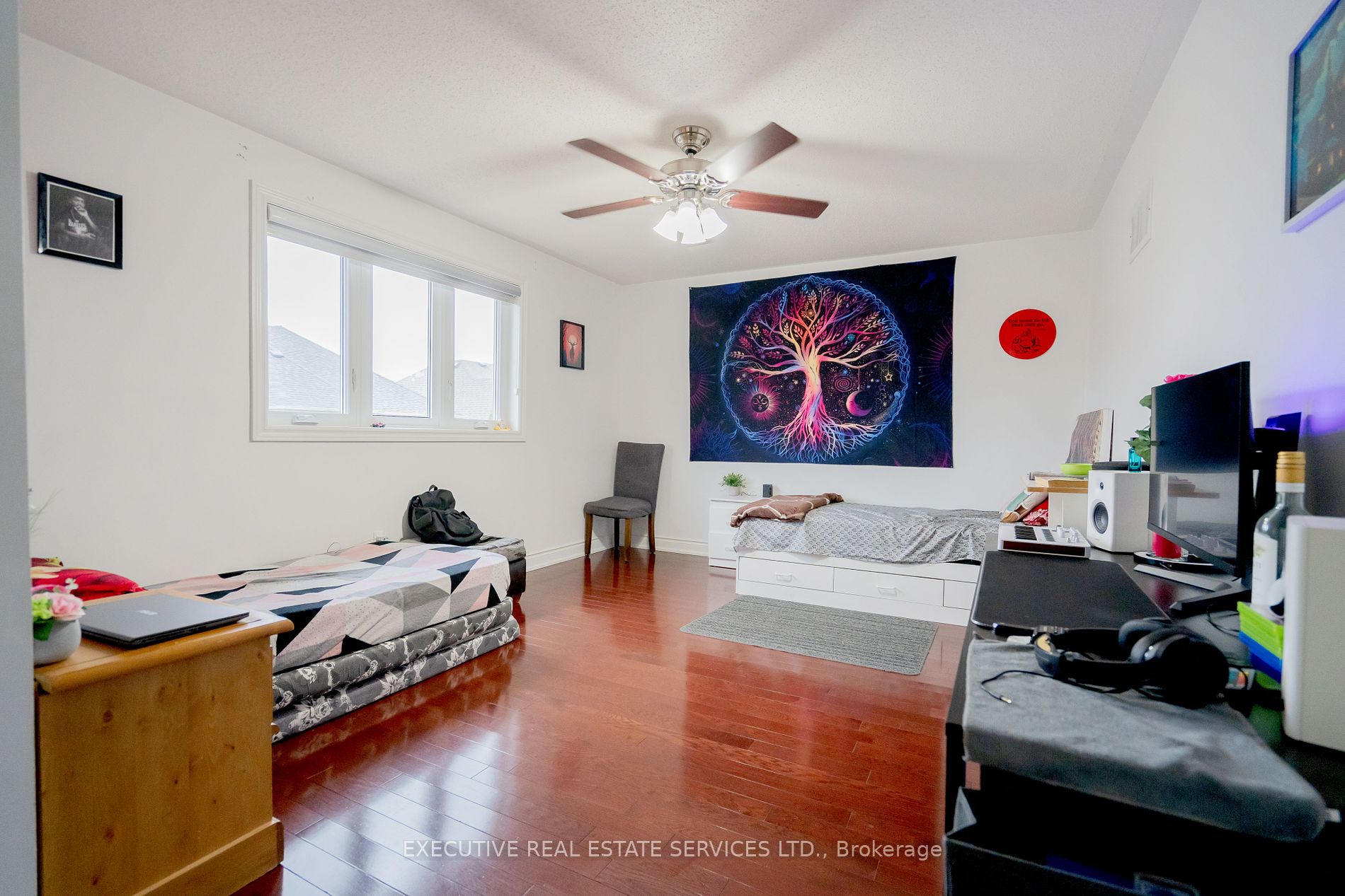 11 Briardale Rd