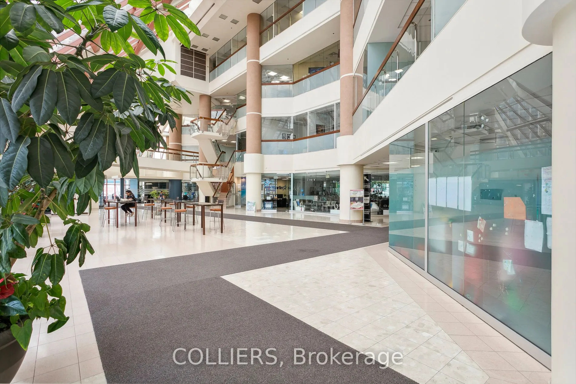 50 Burnhamthorpe Road, #702