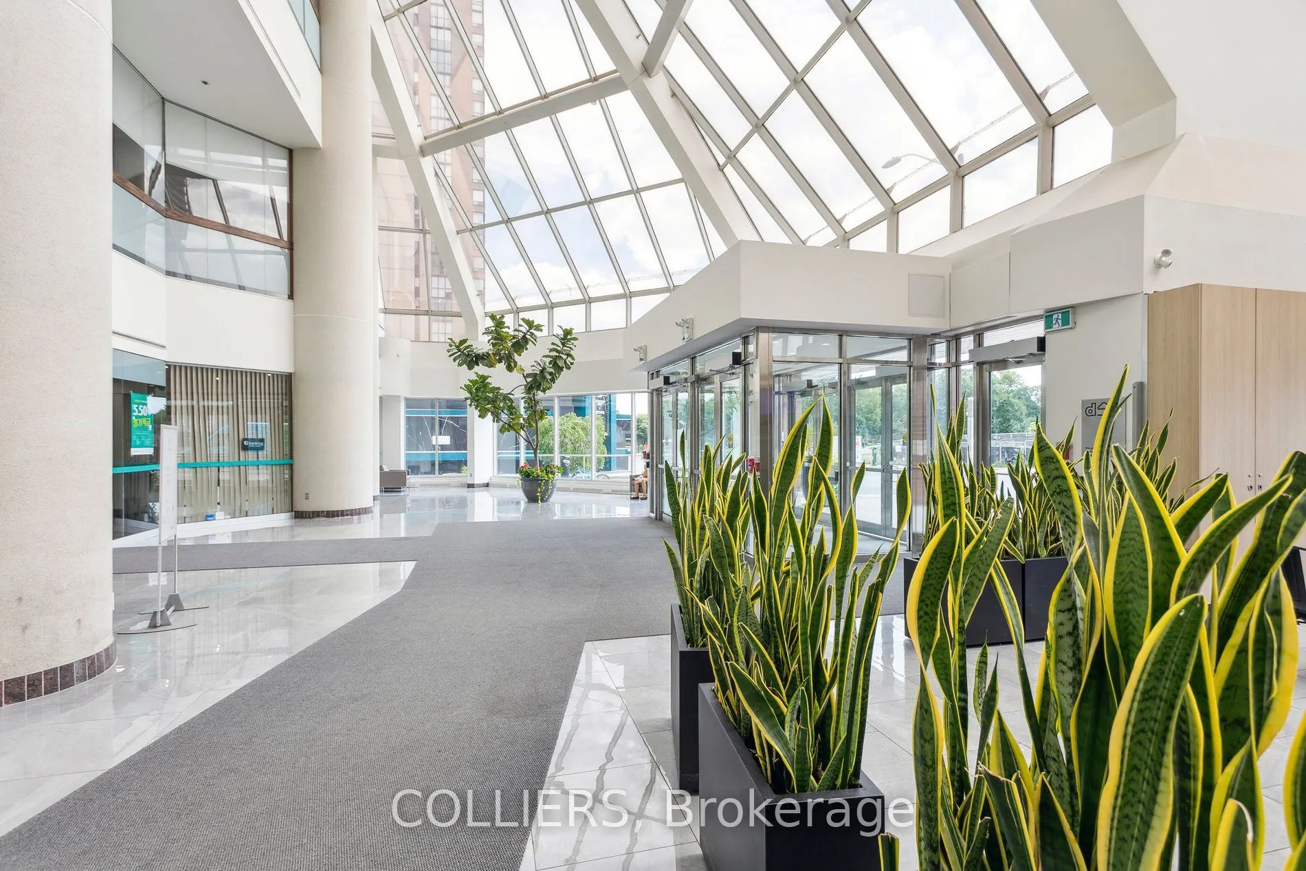 50 Burnhamthorpe Road, #702