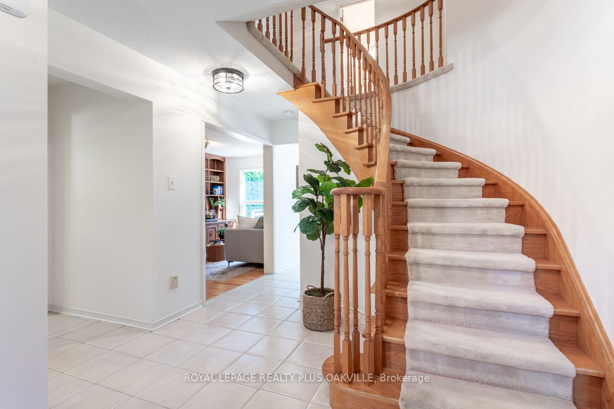 73 Stevenson Rd