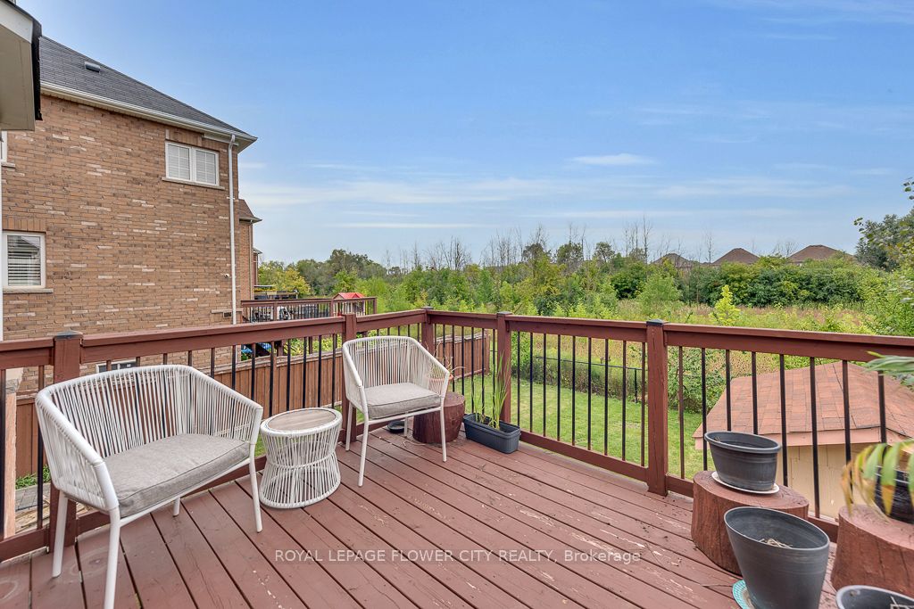 21 Borrelli Dr