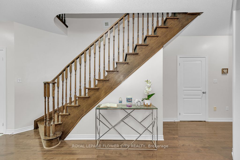 21 Borrelli Dr