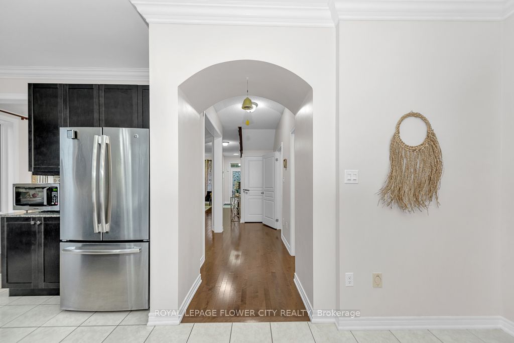 21 Borrelli Dr