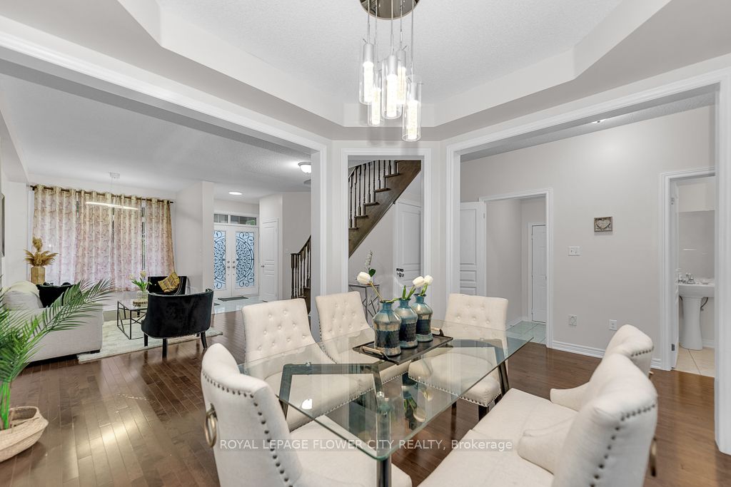 21 Borrelli Dr