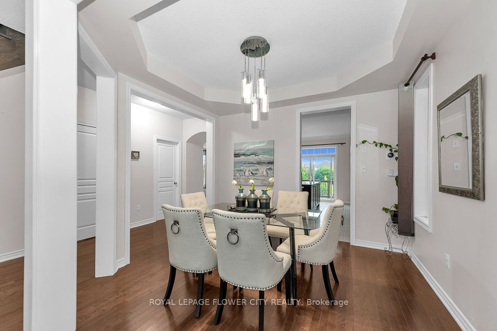 21 Borrelli Dr