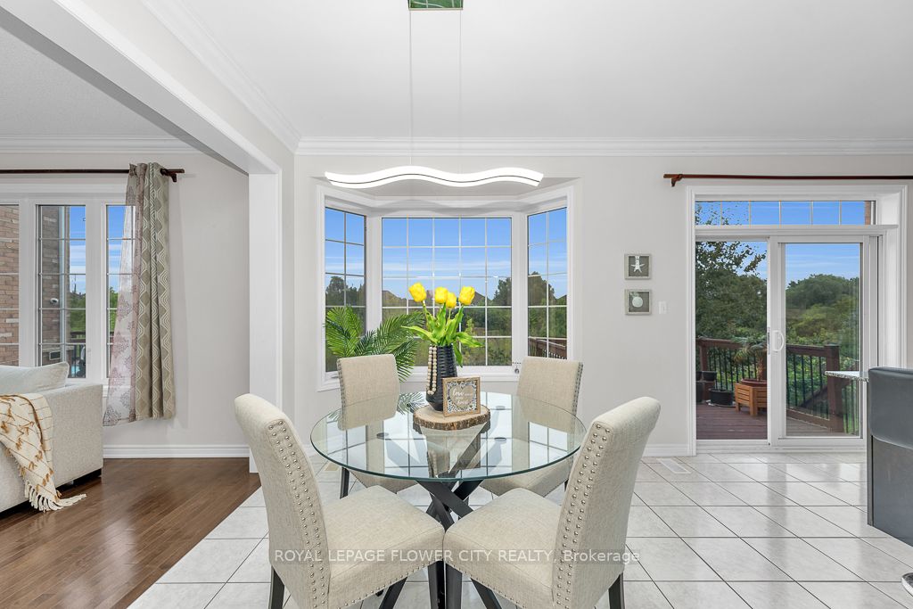 21 Borrelli Dr