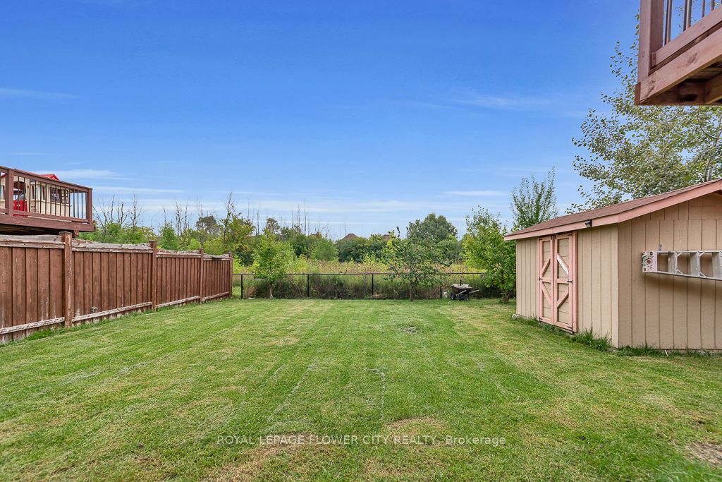 21 Borrelli Dr