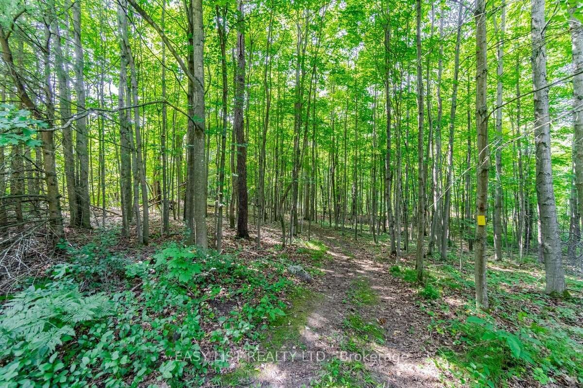 16258 Humber Station Rd