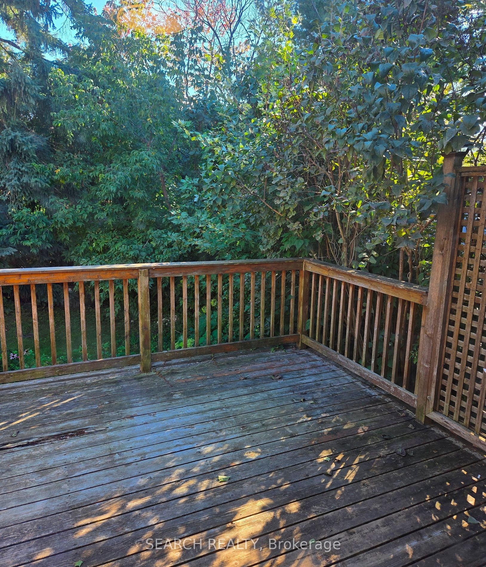 8 Northampton Dr