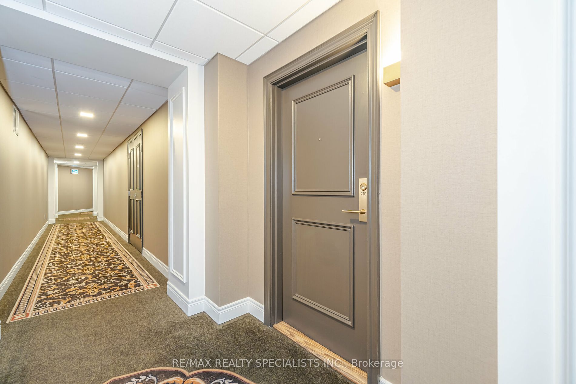 399 Elizabeth St, #210