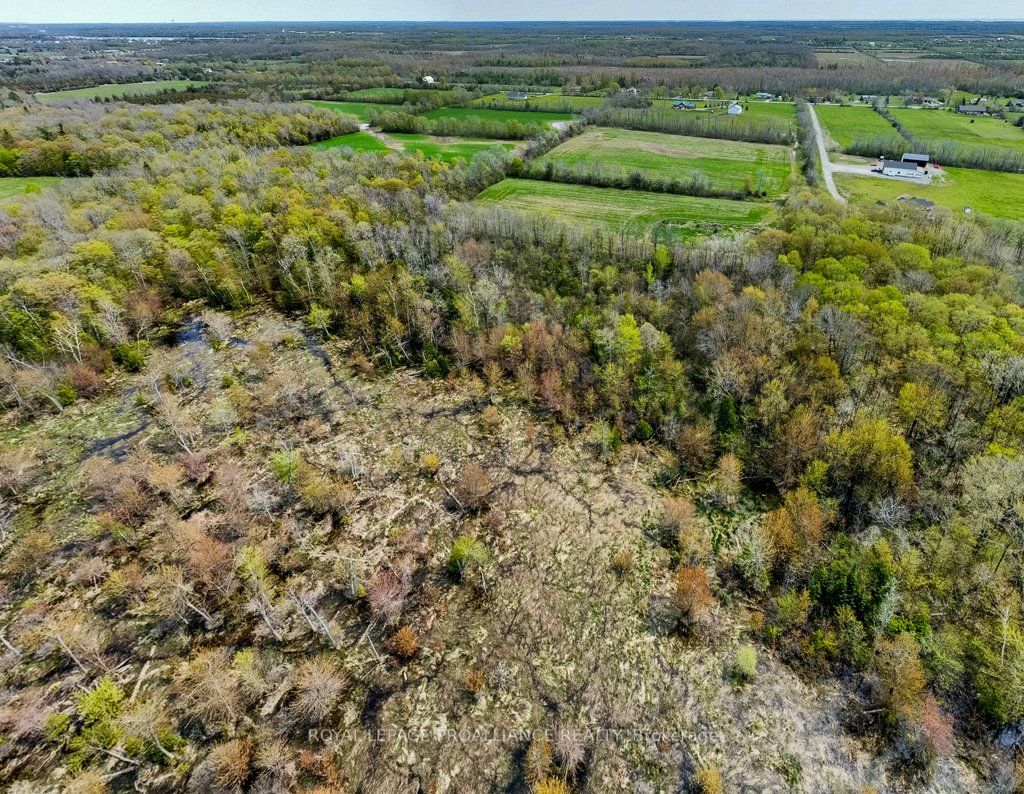 1024 County Road 19