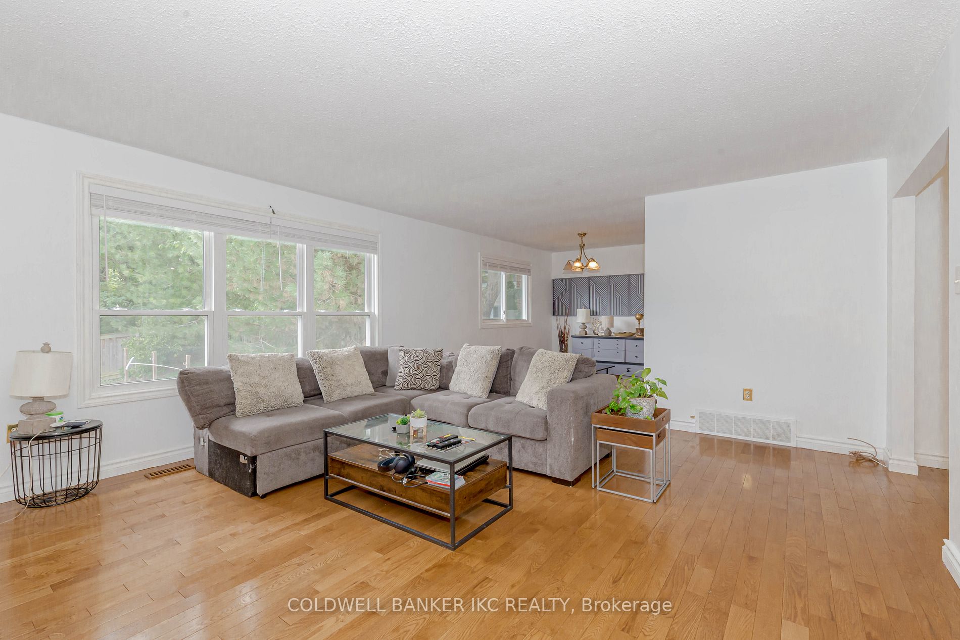 79 Ann St