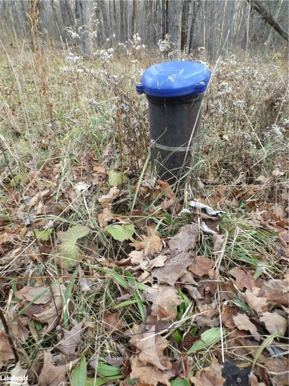 1019 CARL'S Road, #3