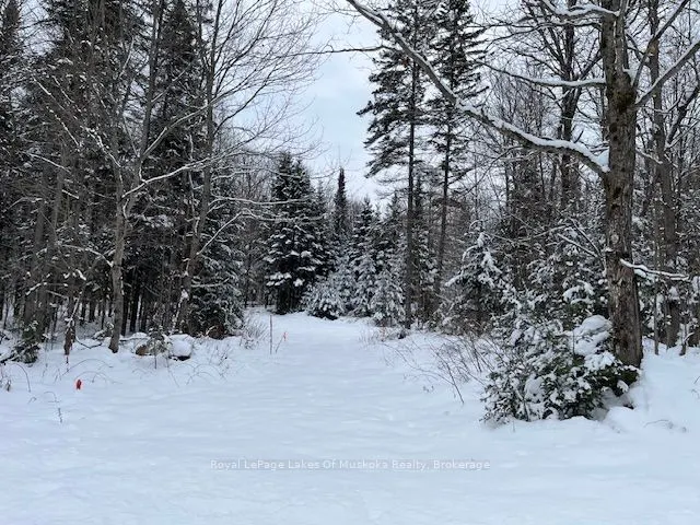 0 Whitney Rd