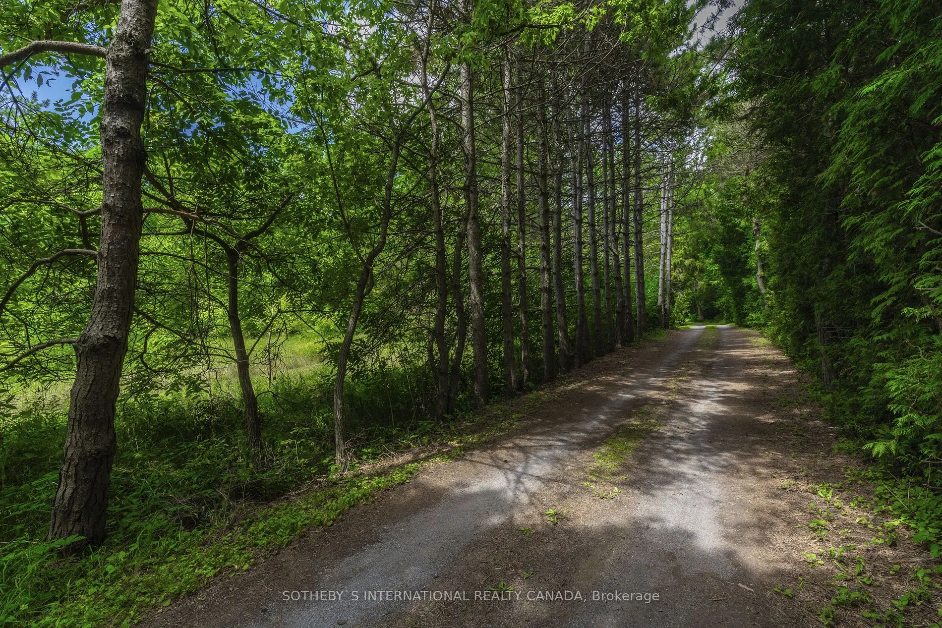 366 Lakeshore Rd