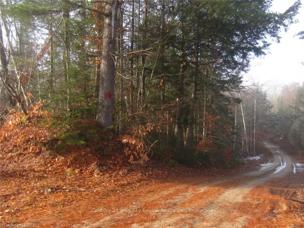 LOT 28 CONCESSION 11 Road
