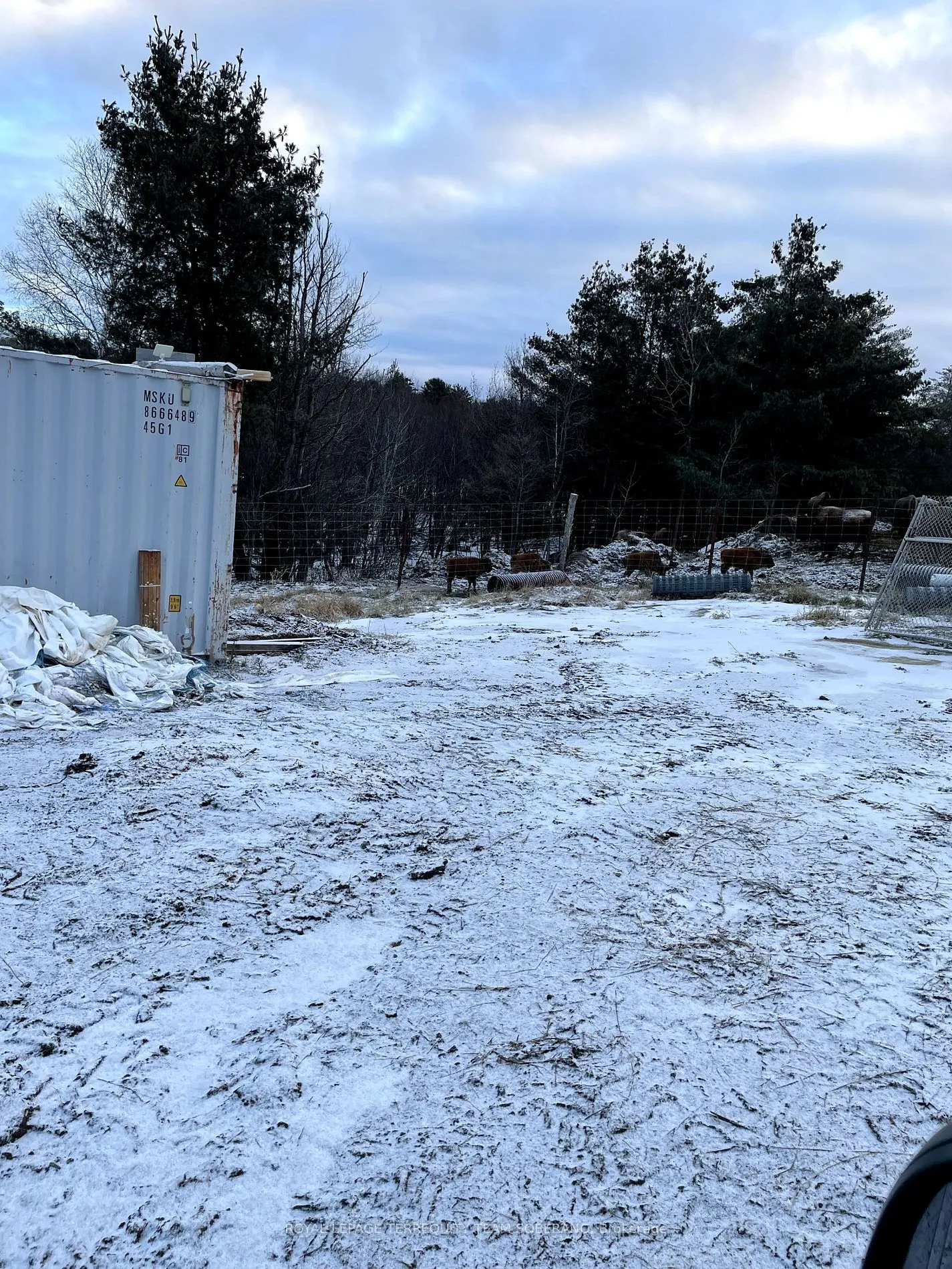 10138 Highway 64 S