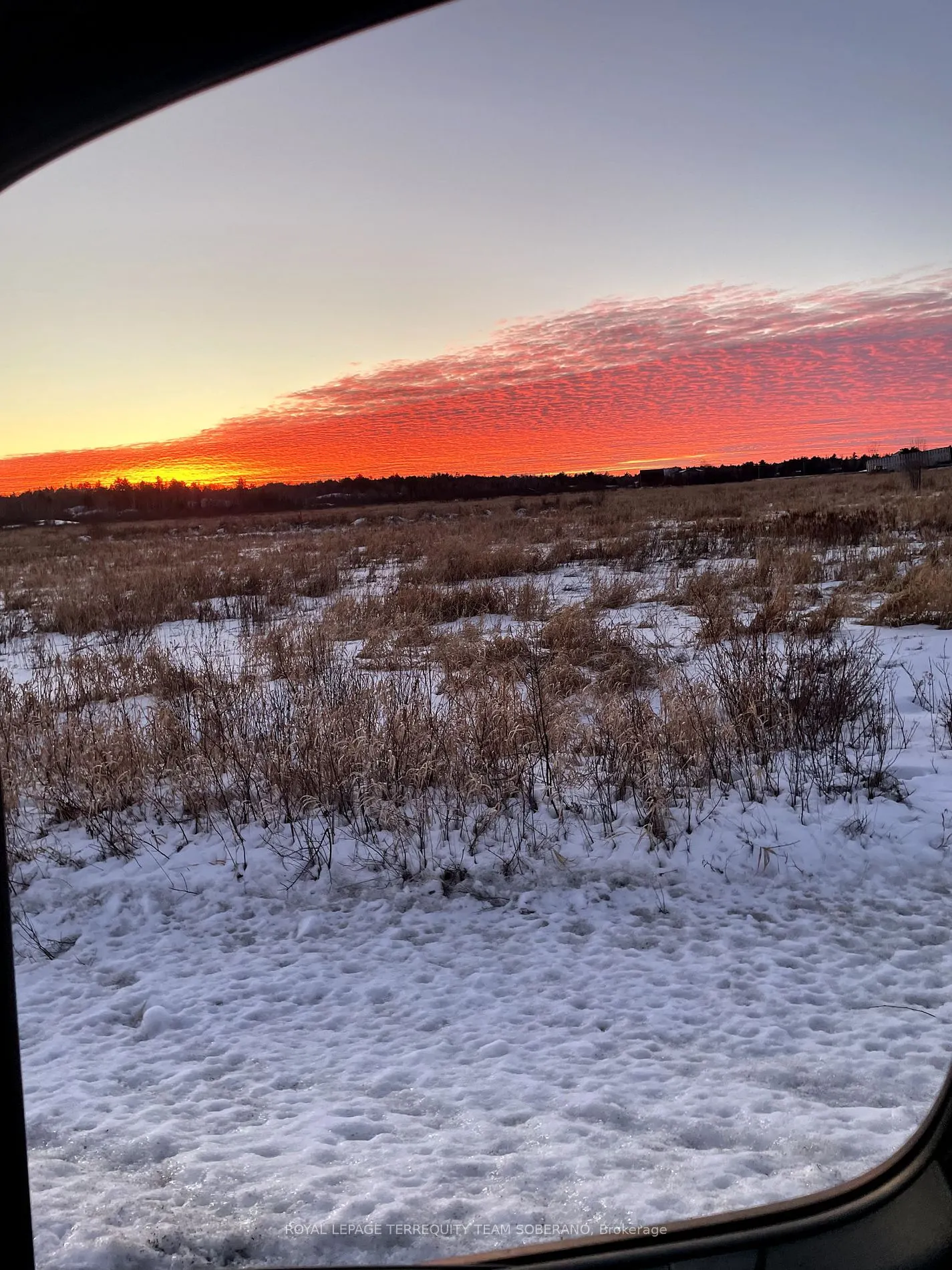 10138 Highway 64 S