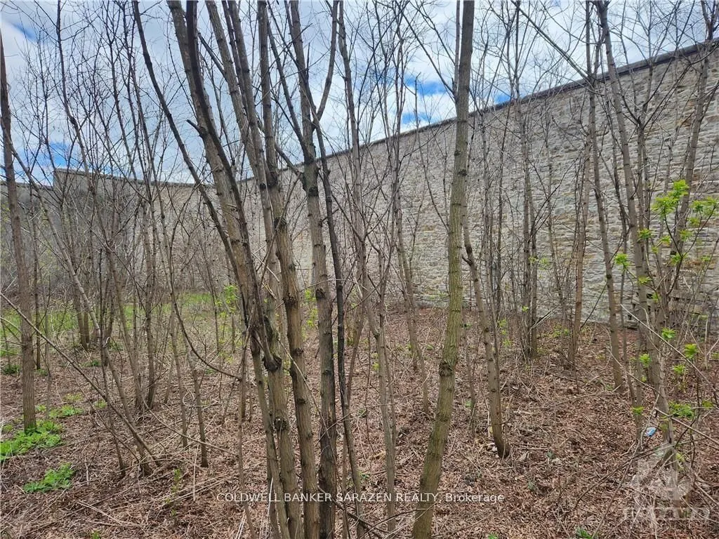 62 Beckwith Street E