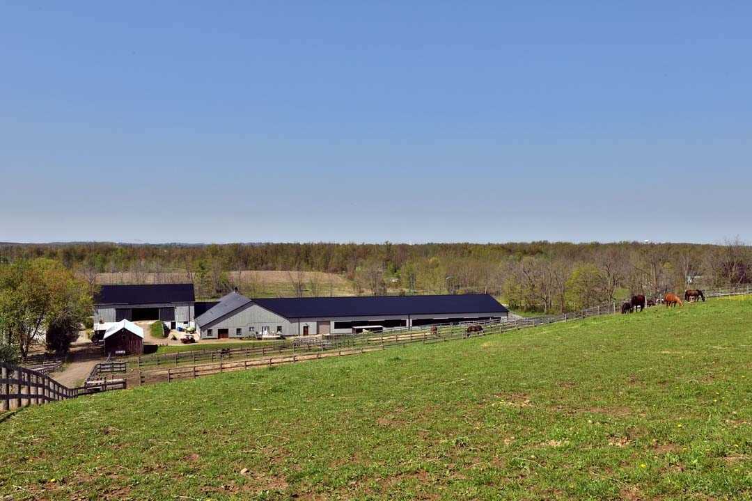Listing X4656402 - Large Photo # 34
