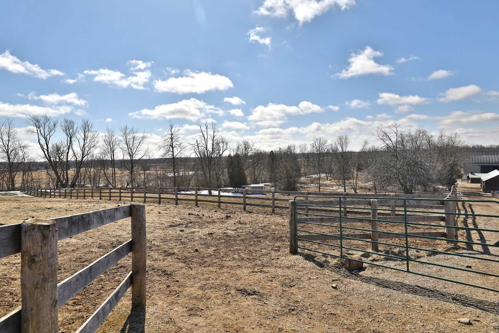 Listing X4656402 - Large Photo # 37