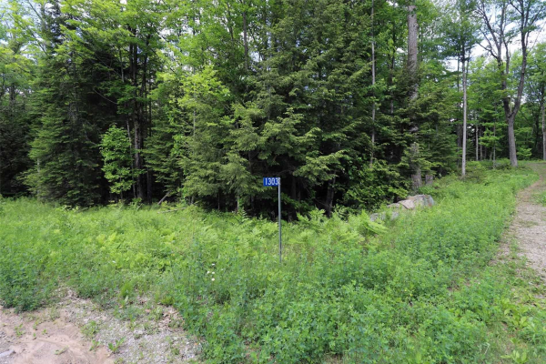 1303 Whites Rd, North Frontenac