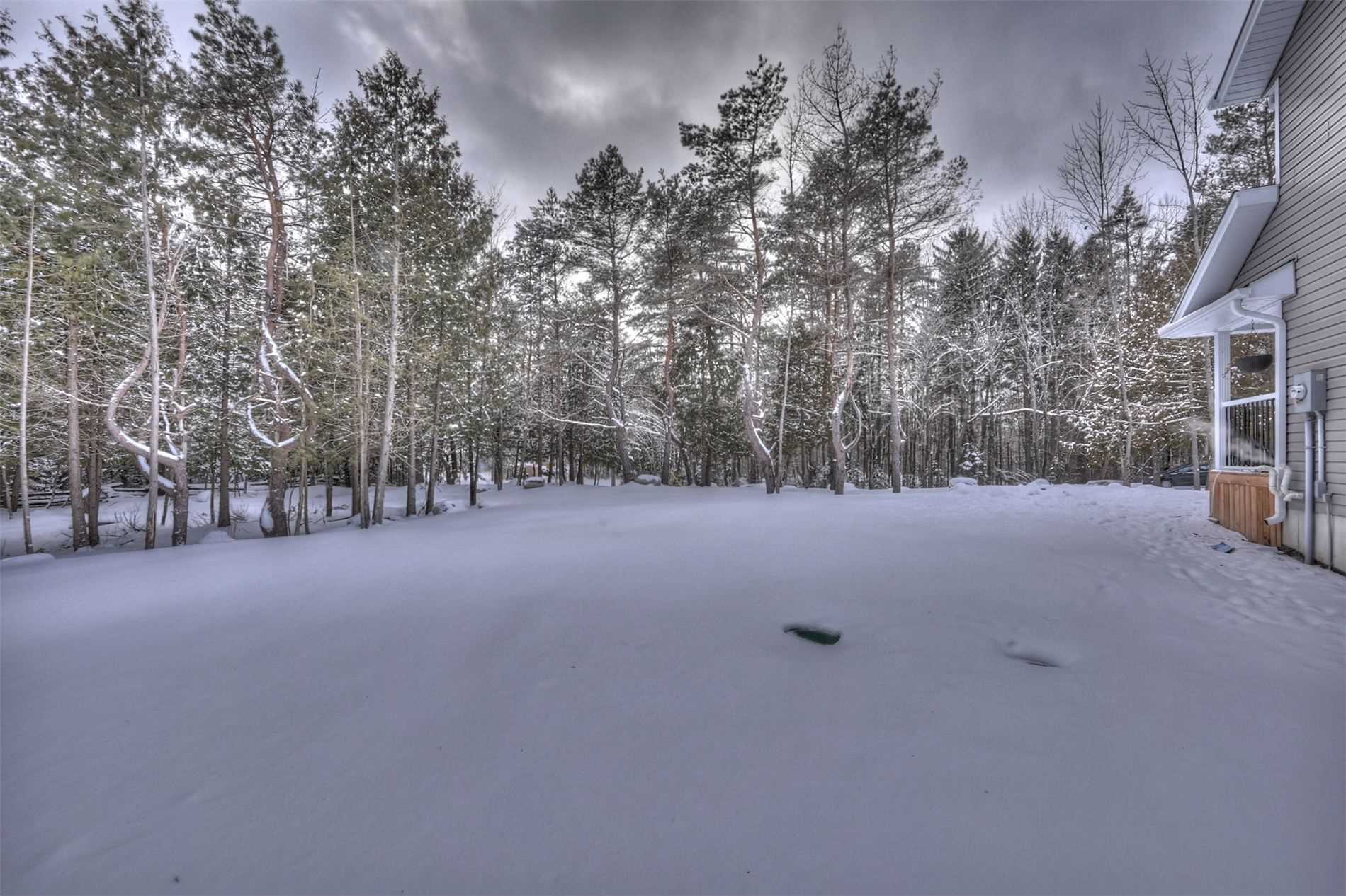 Listing X4671431 - Large Photo # 17