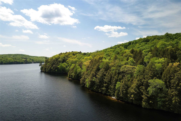 Lot 3 Bear Island, Highlands East