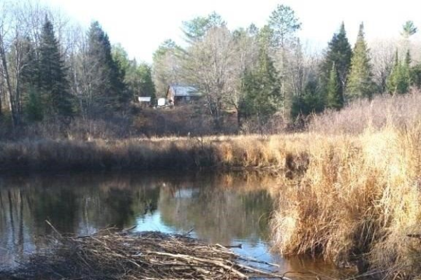 240 Devils 4 Mile Rd W, Havelock-Belmont-Methuen