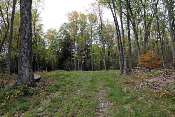 1303 Whites Rd, North Frontenac