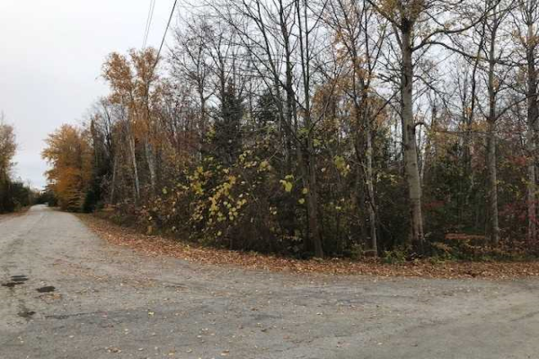 2 Emerson Ave, South Bruce Peninsula
